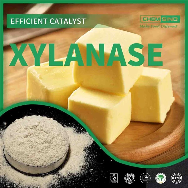 Poboljšajte svoje rezultate s CAS 9025-57-4 Xylanase Enzyme Power!
