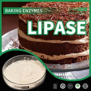 Pospješite razgradnju masti: enzim lipaza za optimalnu prehranu CAS BR.:9001-62-1