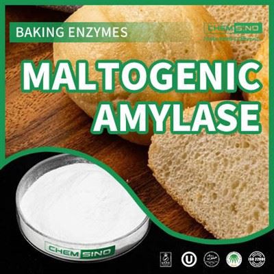 Od zrna do slave: Kako maltogena amilaza mijenja vaše recepte. CAS BR. 9000-92-4
